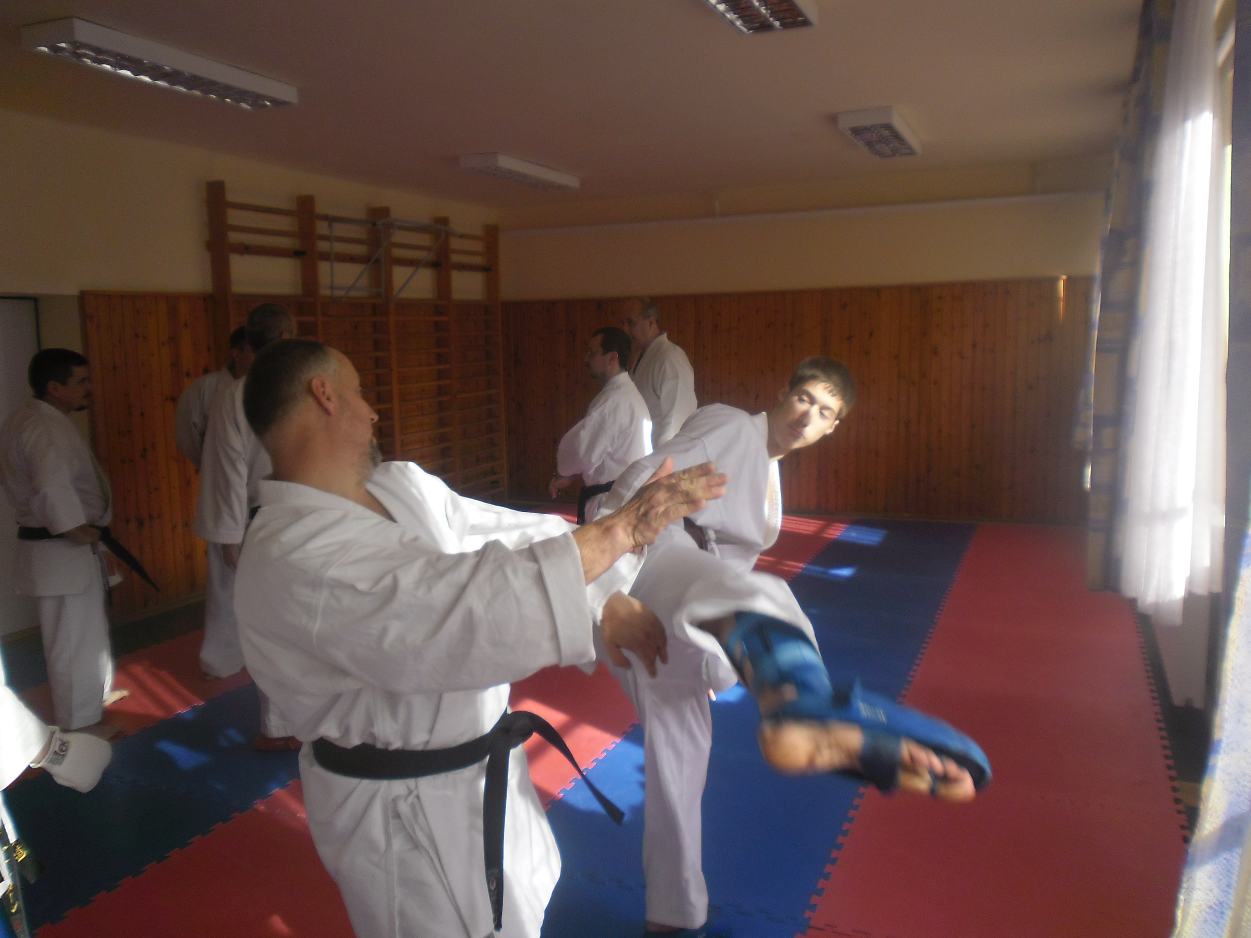 Karate edzés